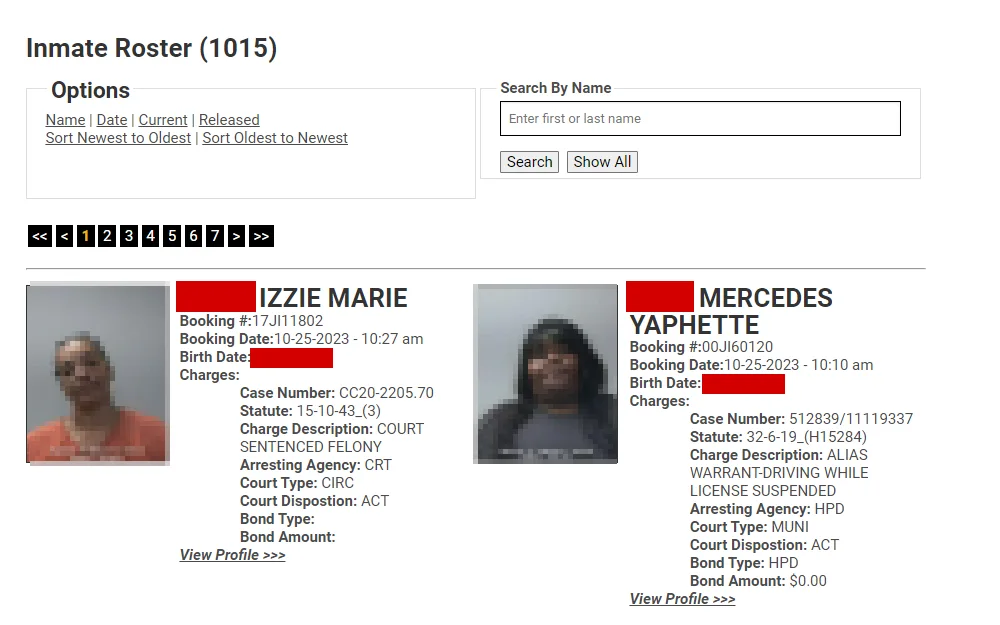 A screenshot of the Madison County Sheriff's Office Inmate Roster displays information such as offender's mugshots, full name, booking no. & date, DOB and charges; the search page is at the top of the list.