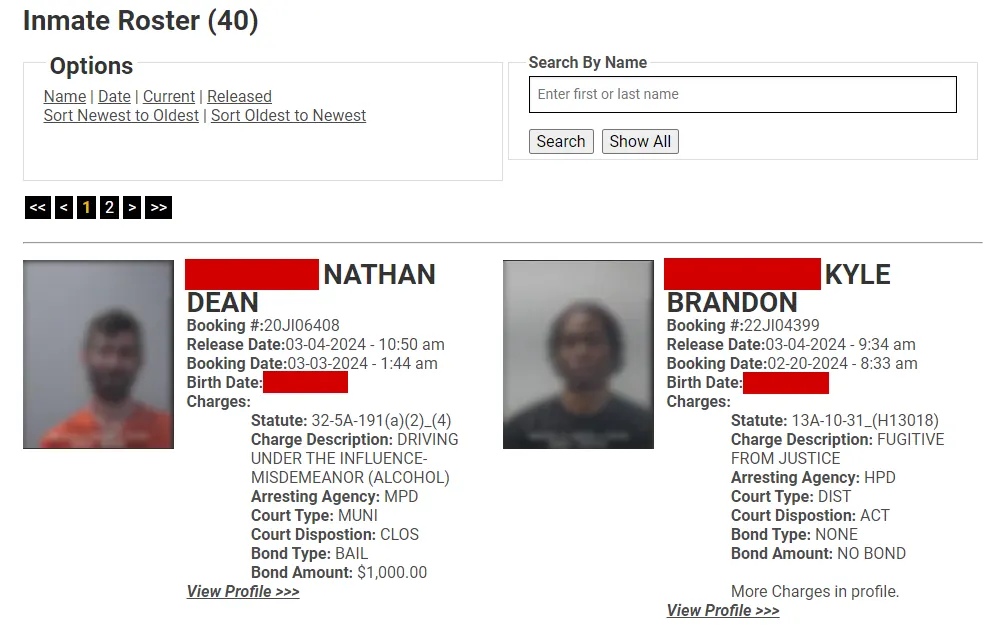 A screenshot of the inmate roster from Madison County Sheriff's Office, displaying a search bar, category options for quick search, and two of the forty inmates under the released category, showing their photographs, names, booking and release dates, booking numbers, birthdays, and charge descriptions.